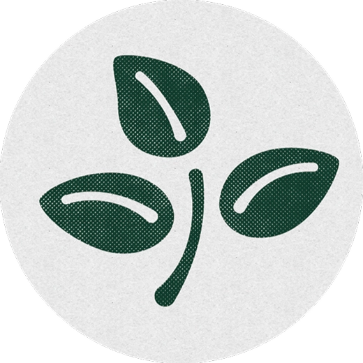 植物由来の素材